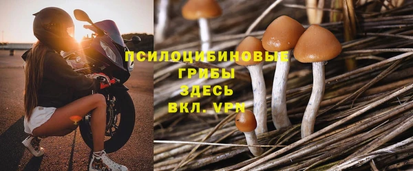 бошки Алексеевка