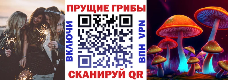 Псилоцибиновые грибы мицелий это как зайти Приморск блэк спрут зеркало